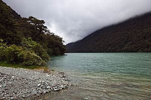 Lake Fergus, New Zealand
