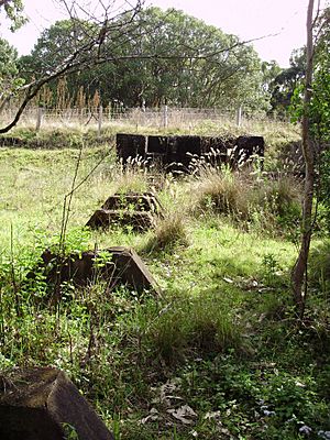 Machinery foundations (2008) at Lahey's Canungra Sawmill.jpg