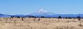 Mount Hood (as seen from Warm Springs Reservation)