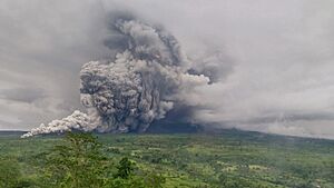 Mount Semeru eruption view on November 19, 2025