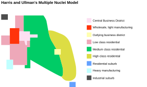 Multiple nuclei model