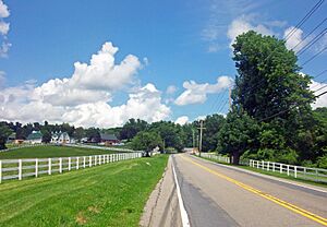 NY 312 at Tilly Foster Farm