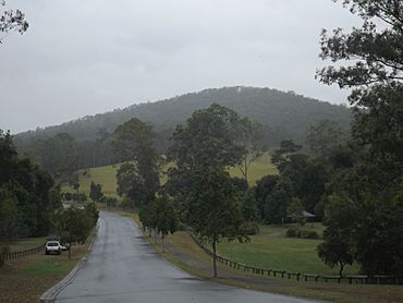 Nathanvale Road in Mount Nathan, Queensland.jpg