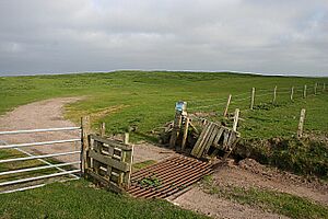Netherton - geograph.org.uk - 420251