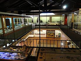 Pacific Grove Museum of Natural History - DSC06618