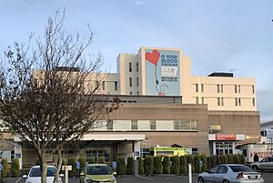 Palmerston North Hospital.jpg