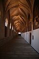 Panda Oeste - Conopilaes - Monasterio Paular