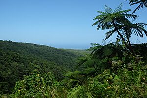 Panorama Chutes du Carbet