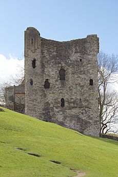 Peveril Castle 2015 03