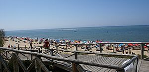 Playa-elportil
