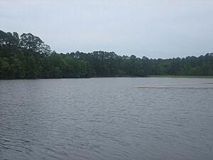 Ratcliff Lake, Ratcliff, TX IMG 0985