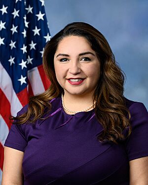 Rep. Delia Ramirez official portrait, 118th Congress