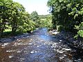 River Vyrnwy - geograph.org.uk - 509985