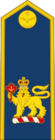 Royal Canadian Air Force (Commander-in-Chief of the Canadian Armed Forces).svg