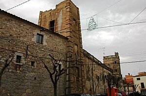 Sant Pere Pescador - Casa Caramany