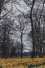 Sefton Park 6