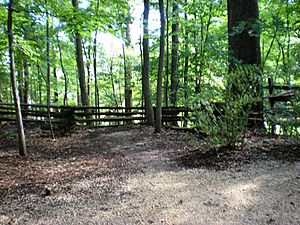 Slave burial ground at Mount Vernon, Mt. Vernon, Virginia - Stierch