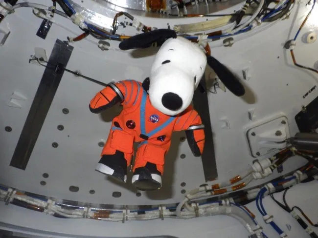 Snoopy Mascot.webp