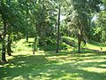 Tallahassee FL Lake Jackson Mounds SP mound01a