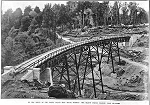 Taonui Viaduct 1908.jpg