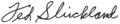 Ted Strickland Signature