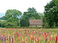 Terwick Church, West Sussex - geograph.org.uk - 52445