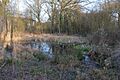 The Commons, Welwyn Garden City 2