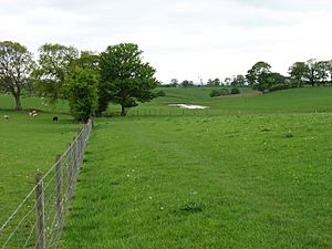 The Hadrian's Wall Path leaving Newtown - geograph.org.uk - 3502873