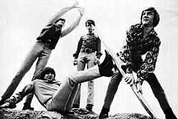 The Monkees May 1967.jpg