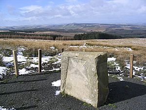 The Redeswire Stone - geograph.org.uk - 370322