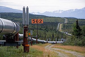 The trans-Alaska oil pipeline,as it zig-zags across the landscape