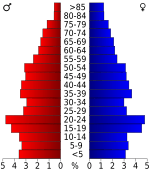 USA Chester County, Tennessee.csv age pyramid