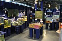 Ucluelet Mini-Aquarium from Inside