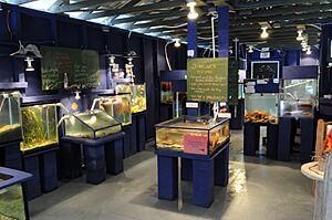 Ucluelet Mini-Aquarium from Inside