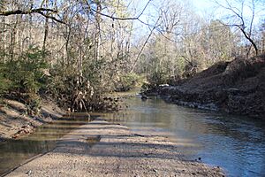 Utoy Creek, Cascade Springs Nature Preserve, Atlanta Dec 2018
