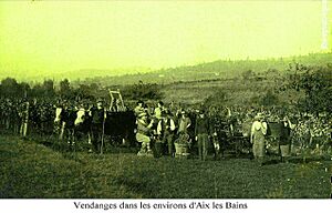 Vendanges près d'Aix-les-Bains