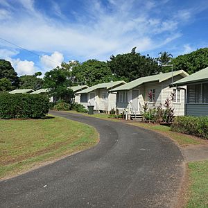 View southwest along cottages and driveway (EHP, 2017).jpg