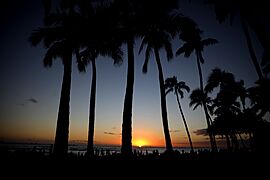 Waikiki Beach (51872593291)