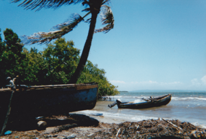 Welcome Beach, Clarendon, Salt River Rd., Jamaica