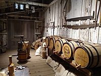 Woodside store 2021 museum storage room 2
