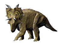 Xenoceratops NT small.jpg