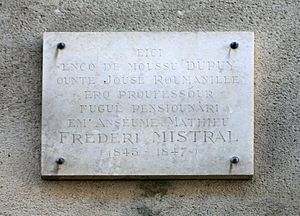 École de la rue Louis Pasteur Avignon, plaque by JM Rosier