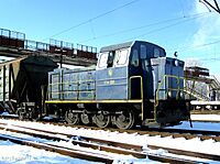 ТГМ23В48-530, Украина, Киевская область, станция Тетерев (Trainpix 158648).jpg