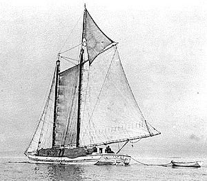 Historic photo of Alma under sail, taken about 1900