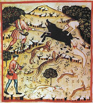 37-svaghi, caccia,Taccuino Sanitatis, Casanatense 4182.
