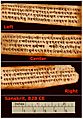 828 CE Sanskrit manuscript page, Gupta script, Nepal, Pārameśvaratantra (MS Add.1049.1)