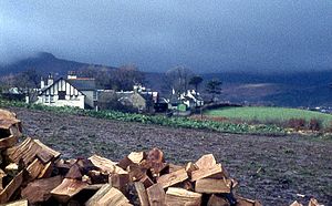 A row of houses at Strathwhillan (geograph 3863567).jpg