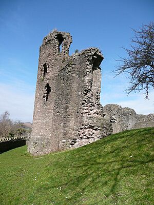 Abergavenny Castle curtain wall - geograph.org.uk - 710252