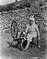 Acadian lady spinning wool 1938
