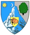 Actual Bacău county CoA